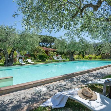 Agriturismo Buen Camino Scarlino Eksteriør billede