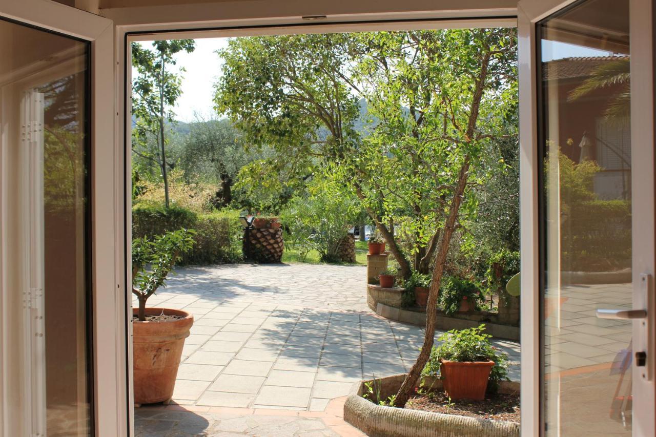 Agriturismo Buen Camino Scarlino Eksteriør billede