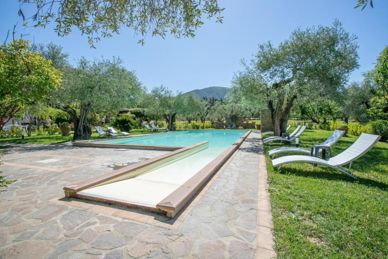 Agriturismo Buen Camino Scarlino Eksteriør billede