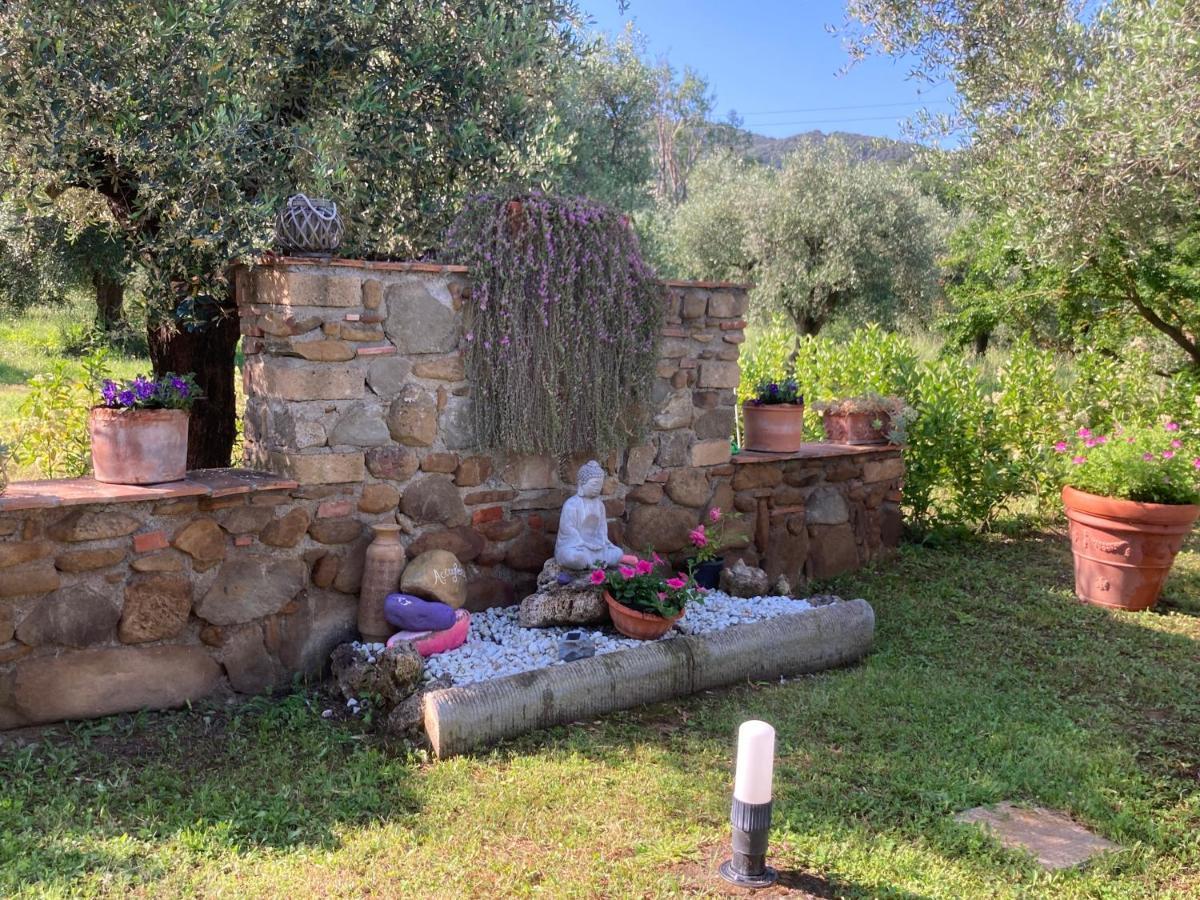 Agriturismo Buen Camino Scarlino Eksteriør billede