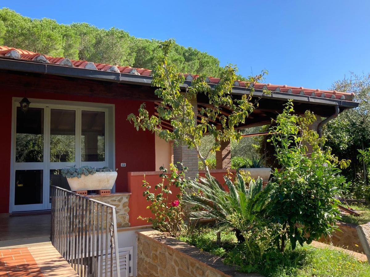 Agriturismo Buen Camino Scarlino Eksteriør billede