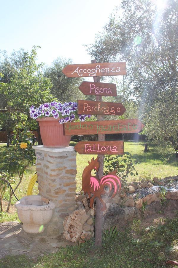 Agriturismo Buen Camino Scarlino Eksteriør billede